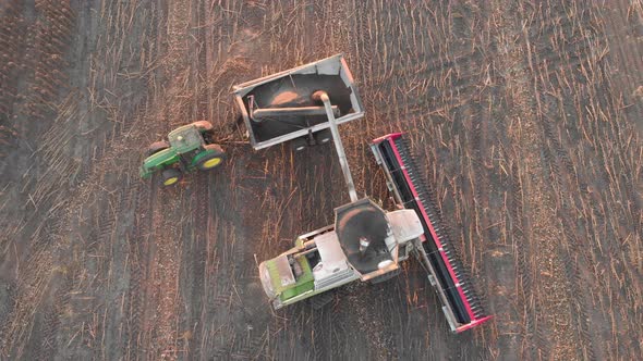 Aerial View Combine Harvesting on Sunflower Field. Mechanized Harvesting Sunflower. Large Field of