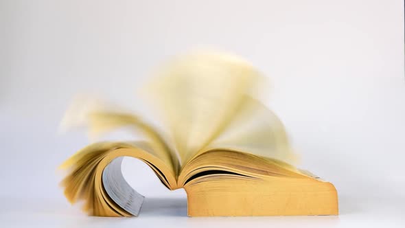 Strong wind caused the thick book that was placed on it to turn pages by itself.