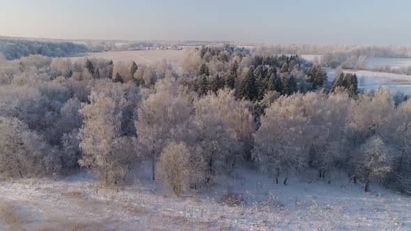 Winter Landscape Countryside