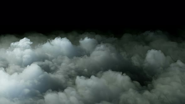 Coronavirus Disinfection alt