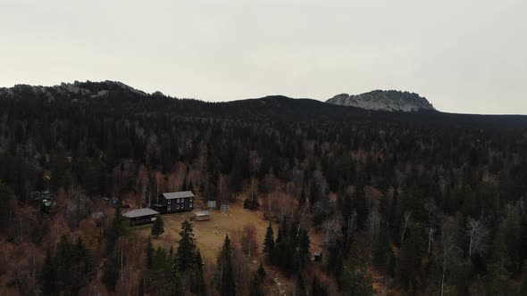 Aerial View of the Autumn Coniferous Forest Near the Top of the Mountain