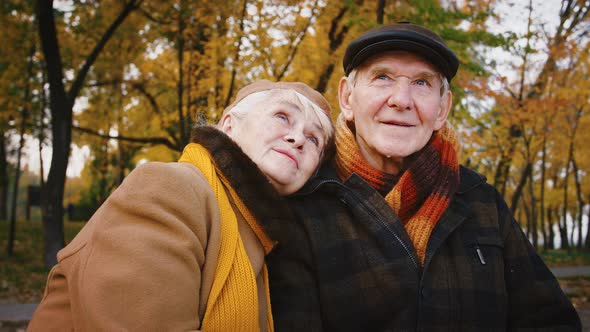 Happy Couple Grandparents are Cuddling Smiling and Talking While Sitting on Bench in Autumn Park