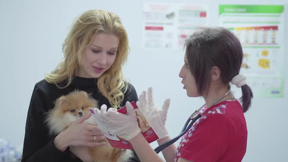 Portrait Beautiful Woman with a Small Dog in Her Arms and a Veterinarian with a Stethoscope 