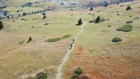 Aerial drone view of a mountain biker on a singletrack trail