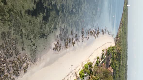 Vertical Video of the Beach on Zanzibar Island Tanzania Aerial View