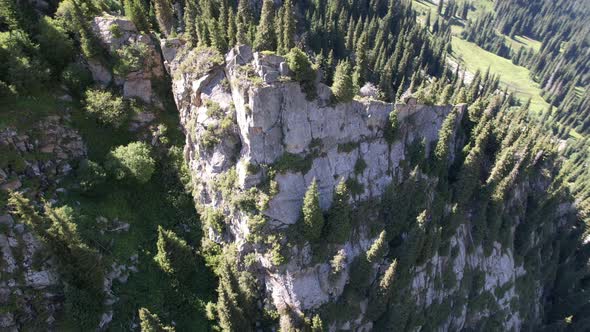 A High Rock in Middle of the Forest in Mountains