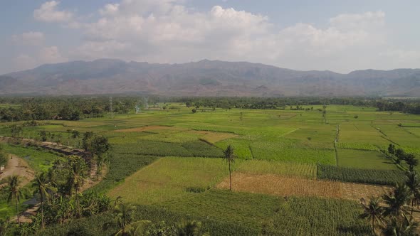 Agricultural Land in Indonesia