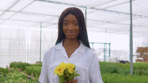 Beautiful Young African American Girl in a White Shirt Stands in a Greenhouse and Holds Yellow