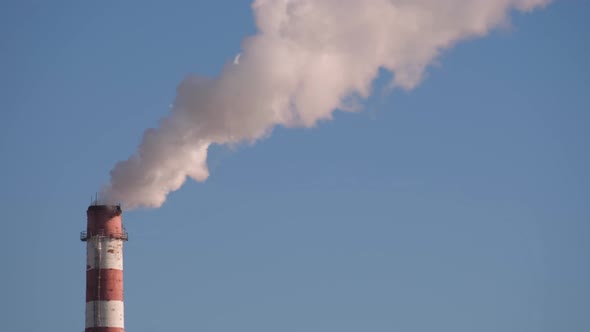 Pipe with white smoke