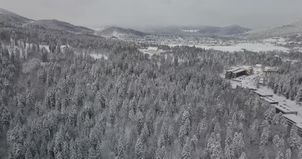 Aerial nature in winter