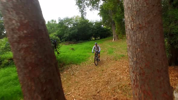 Hiker cycling in the forest