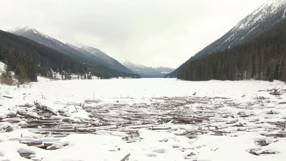 Beautiful Aerial View of Drift Wood By the Frozen Lake