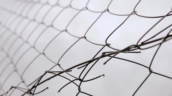 Connected Wire on Net Fence