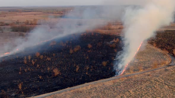 Aerial Top View of a Grass Fire