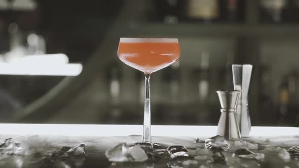 Woman Takes a Cocktail at the Bar