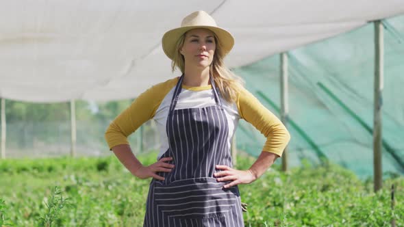 Video of happy caucasian woman wearing apron and standing in greenhouse