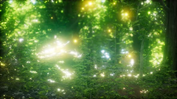 Firefly Flying in the Forest