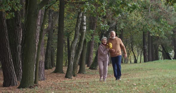 Elderly Couple on a Walk in a Forest Park, Autumn Day, Gray-haired Man and Woman Walking in a City