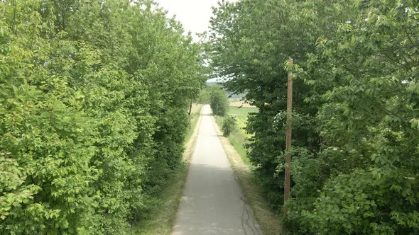 Flying Above Forest Road Between Trees Drone Shot