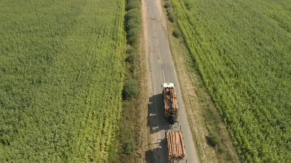 Logging Truck Full Of Sawn Down Tree Trunks Drives Along A Country Road Between Agricultural Fields