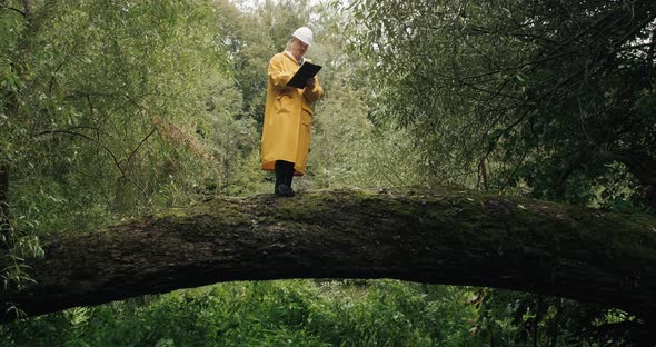 Ecologist in Helmet Stands on Fallen Tree He Makes an Act of Damage to Forest