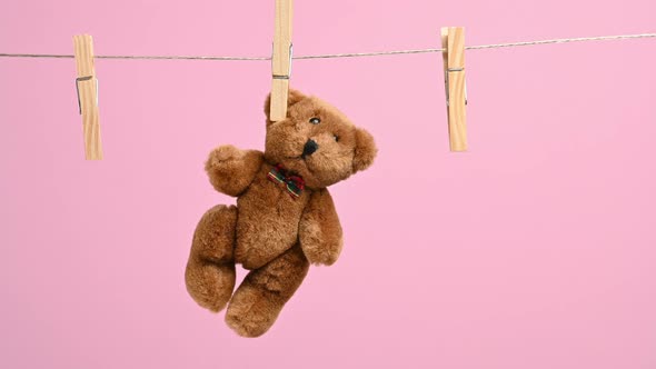 female hand hangs on a rope behind the ear of a small brown teddy bear