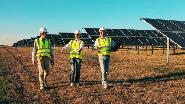 Professional Engineers, Workers Walking Around Solar Power Station. Solar Power Plant Workers, Solar