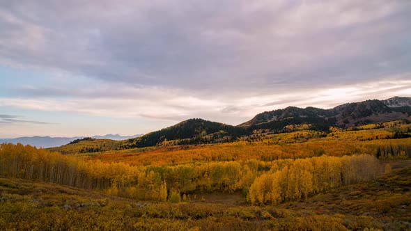 Time-lapse over aspen trees during Fall at Wasatch Mountain State Park