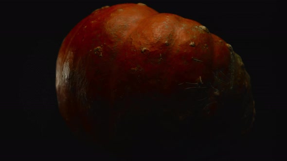 Closeup Forward Movement Red Pumpkin in Turning Motion on a Black Background