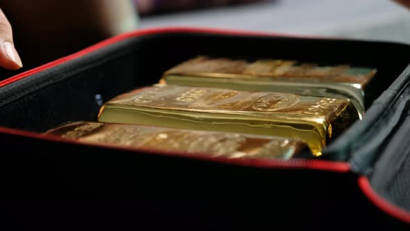 A Bag of Money and Gold