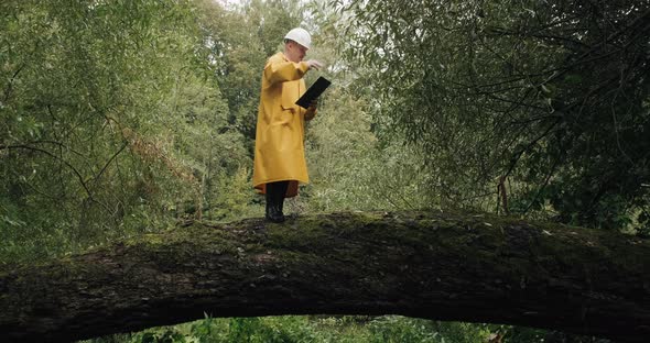 Ecologist Man in Helmet Stands on Fallen Tree and Shows Workers How to Cut It