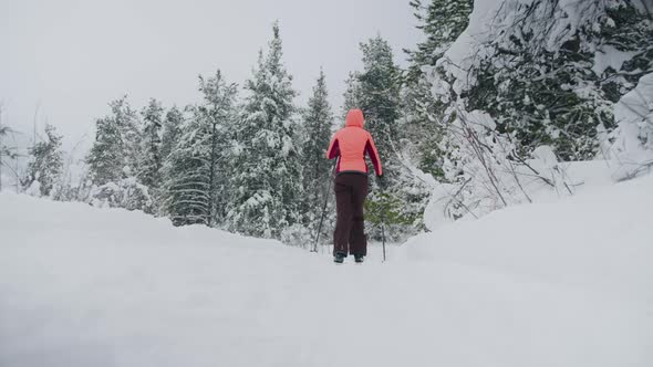 Back View of Unrecognizable Woman Going Crosscountry Skiing in Winter Forest