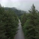 Flying Over Road in The Heart of Misty Mountain Forest - VideoHive Item for Sale