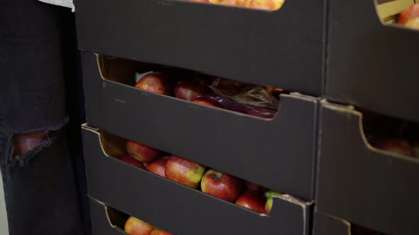 Woman in Supermarket Choosing Apples From Box