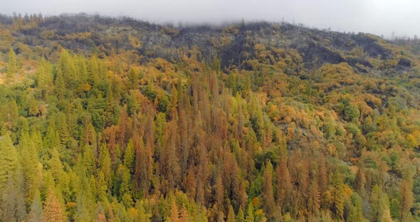 The Alpine Scenery During the Fog