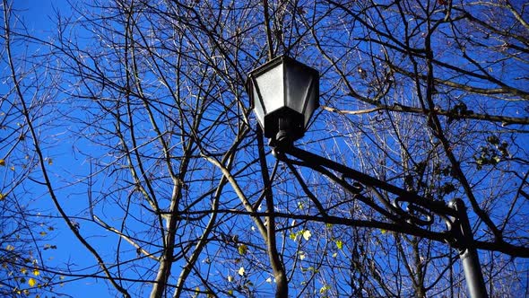 Street lamp against the sky in the autumn park.