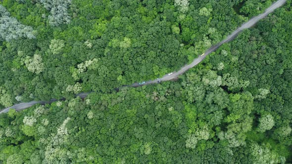 Aerial View Over Forest with a Road Going Through with Car