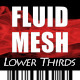 Fluid Mesh Lower Thirds - VideoHive Item for Sale