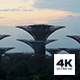 Gardens by the Bay Sunrise Timelapse - VideoHive Item for Sale