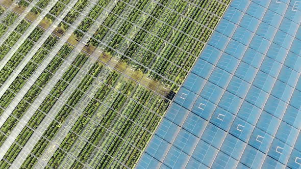 Opened and Closed Roof Parts of a Massive Greenhouse