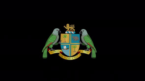 Coat Of Arms Of Dominica With Alpha Channel  - 4K