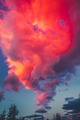 Dramatic sunset Pink sky background with clouds - PhotoDune Item for Sale