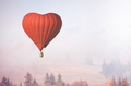 d air balloon in the shape of a heart flying in foggy forest - PhotoDune Item for Sale
