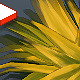 Low Poly Grass Pack - 3DOcean Item for Sale