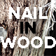 Nail In Wood - VideoHive Item for Sale