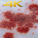Blood On The Snow - VideoHive Item for Sale