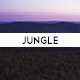 Tropical Jungle