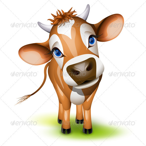 Little jersey cow