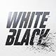 White And Black Logo Reveal - VideoHive Item for Sale