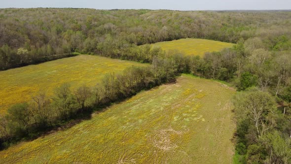 Aerial View Of Deforested Fields For Agronomy. Establishing Shot.